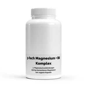 Therapium Magnesium 5x Complex, a jar of 120 vegan capsules with five forms of magnesium and vitamin B6